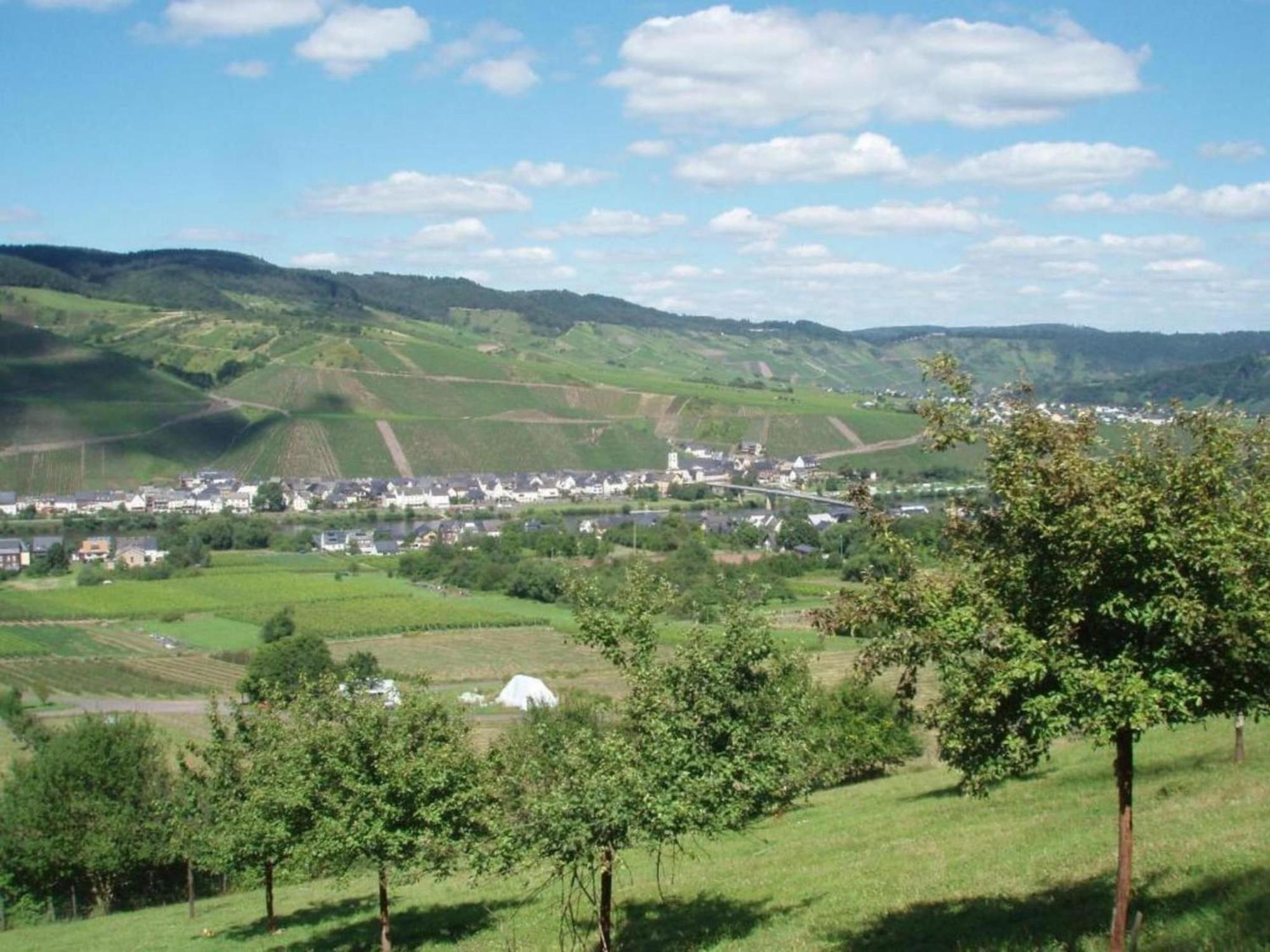 Sch ne Wohnung in der Moselregion Kinheim Exterior foto